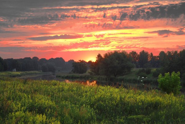 Летний закат