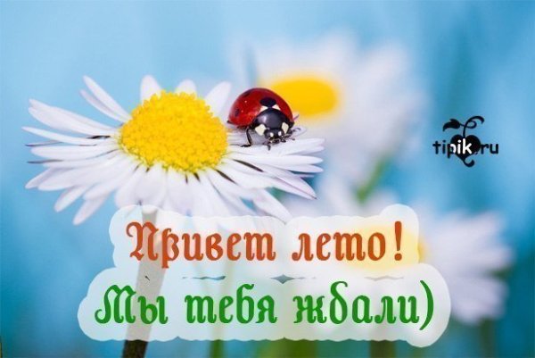 Прощай лето надпись