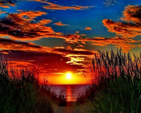 Природа поле