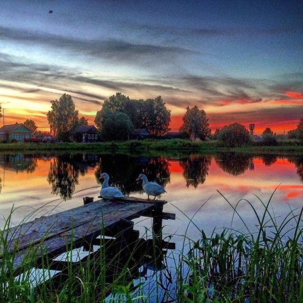 Летний закат