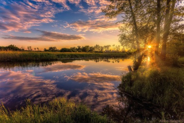 Луг вечером