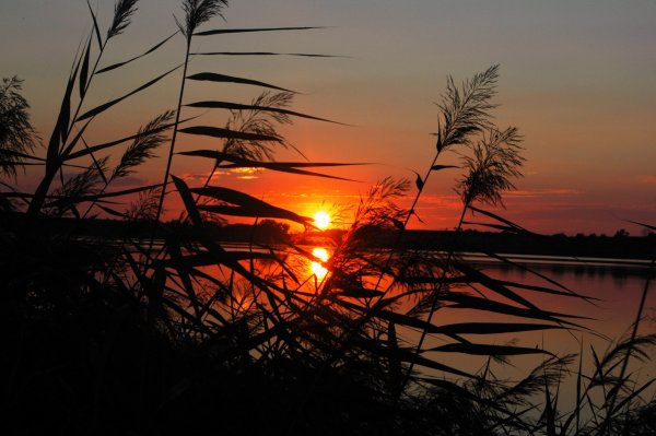 Красный закат летом