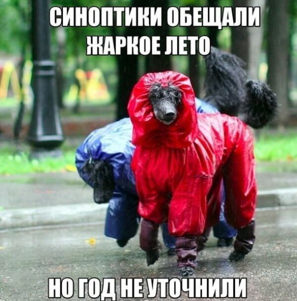 Приколы про Холодное лето