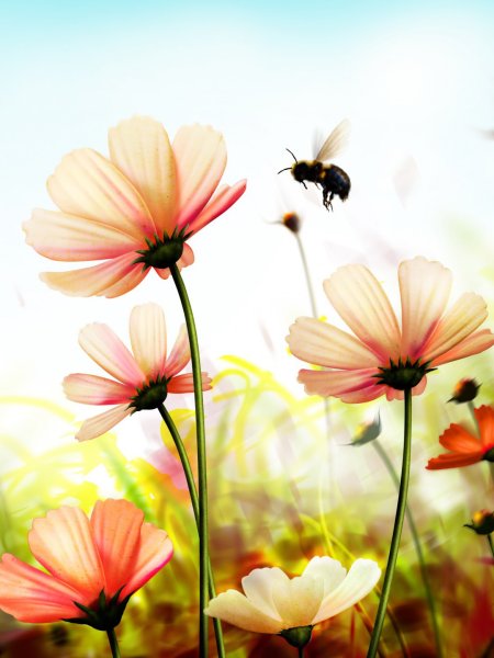 Летние цветы вертикальный