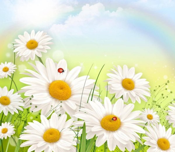 Красивый летний фон