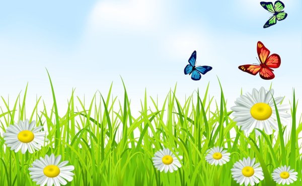 Летние цветы с бабочками