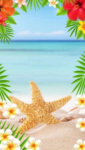 Лето море пляж