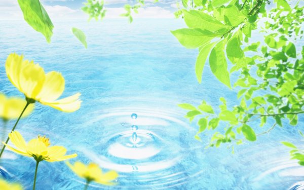 Музыкальная природа