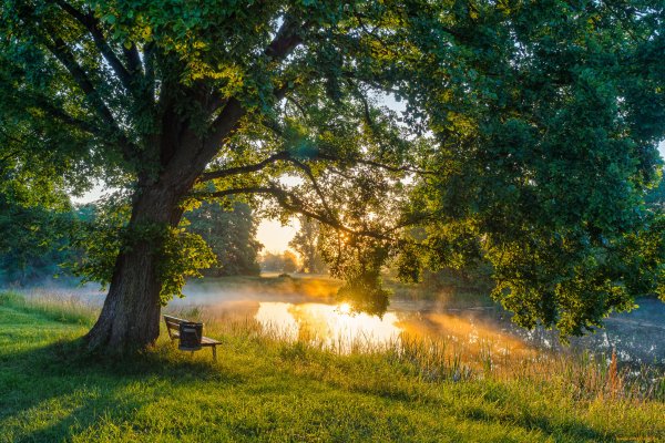 Рассвет на реке