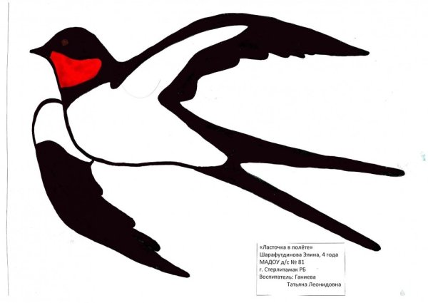 Ласточка для детей