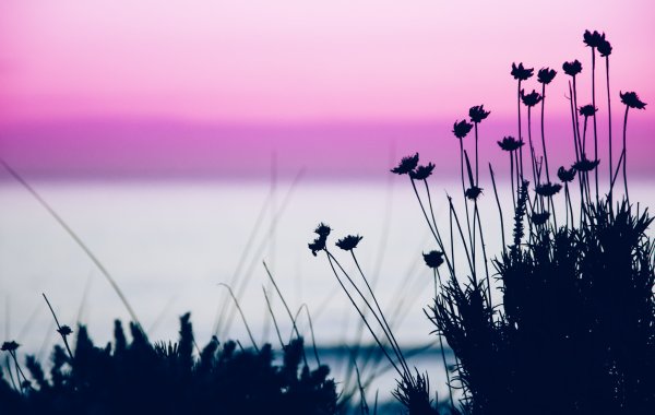 Пейзаж с велосипедом