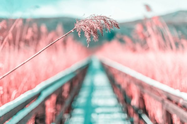 Фон для твиттера