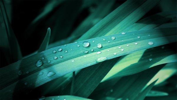 Дорога Майами Лос Анджелес