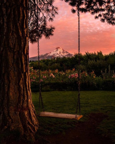 Природа в пастельных тонах