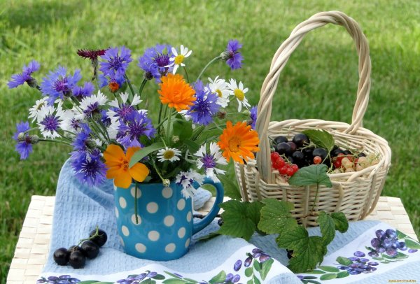 Прощай Весна Здравствуй лето