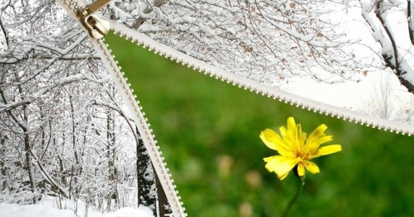 Лето наступило