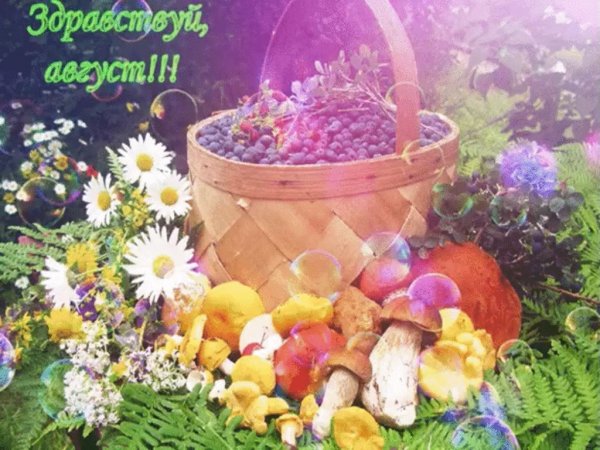 Доброе летнее утро