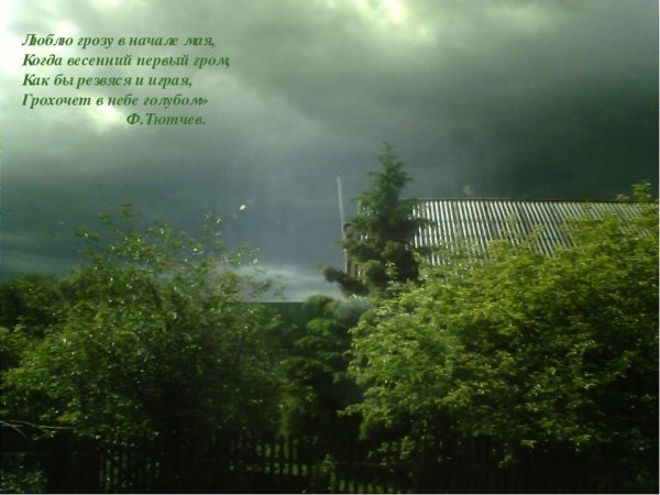 Стих гроза