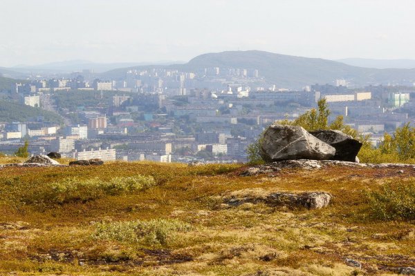 Мурманск сопки лето