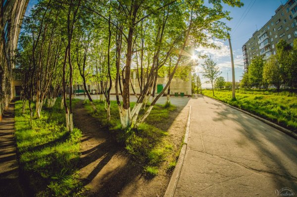 Летний Мурманск фото