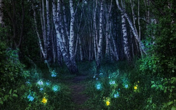 Ночной сказочный лес