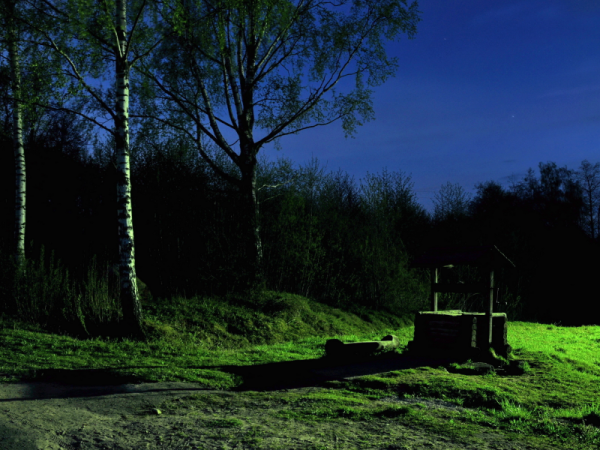 Ночная Поляна в лесу