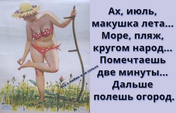 Анекдоты про лето в картинках