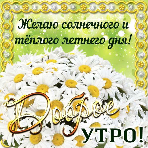 Доброе летнее утро пожелания