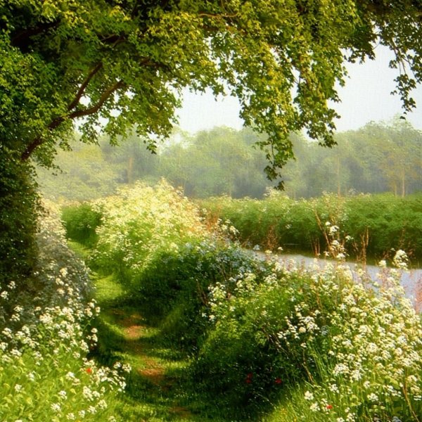 Летний пейзаж