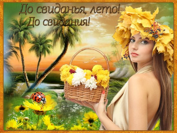 До свидания лето