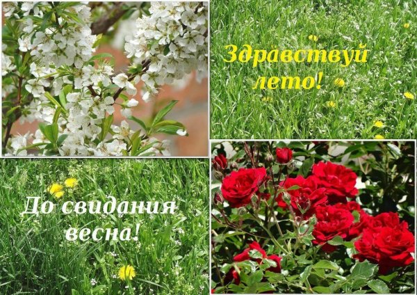 До свидания Весна Здравствуй лето