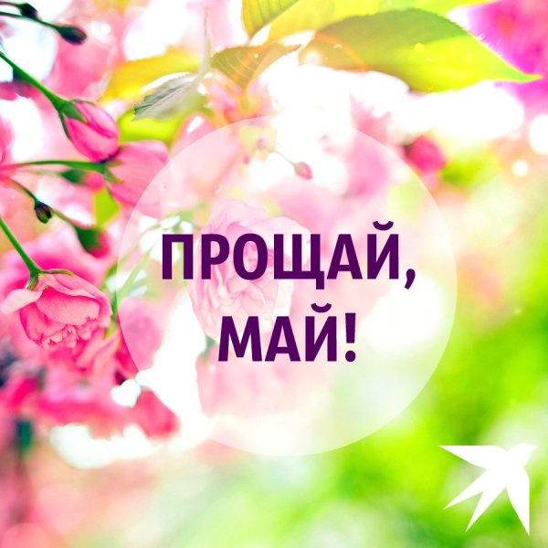 Прощай май