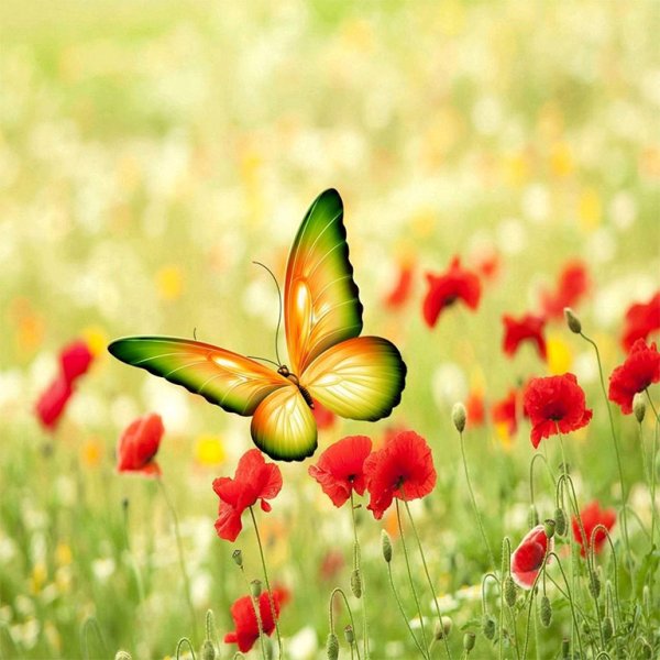 Красивое яркое лето