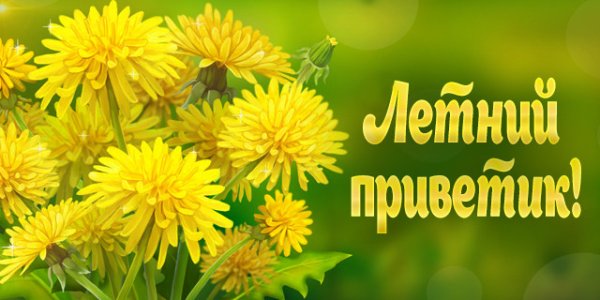 Летний Солнечный приветик