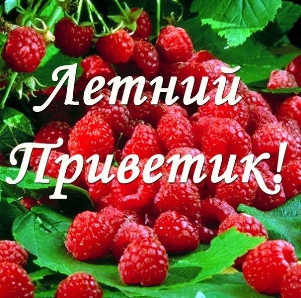 Открытки летний привет