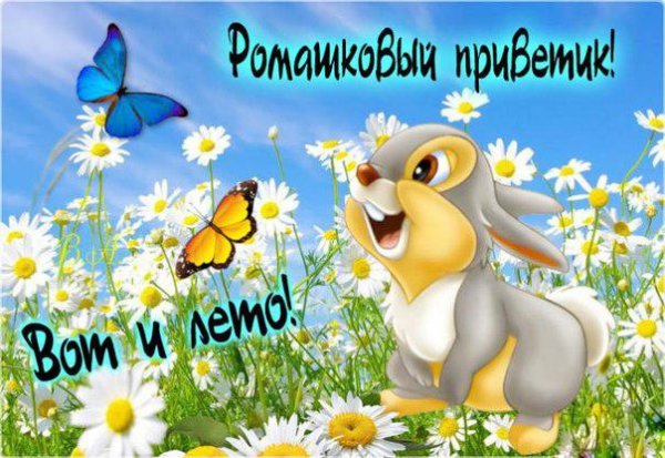 Открытка с летним июльским приветом