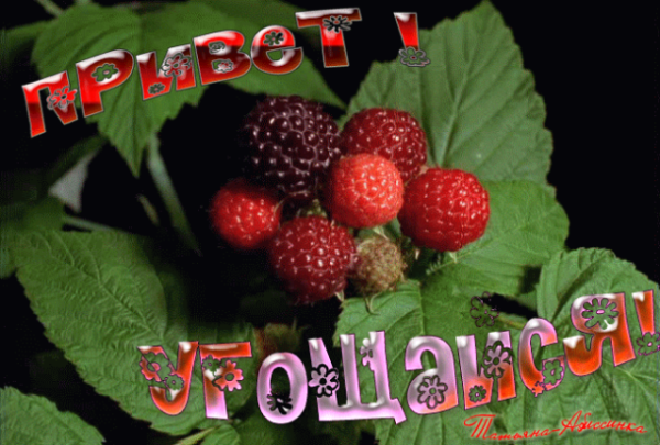 Привет с ягодами