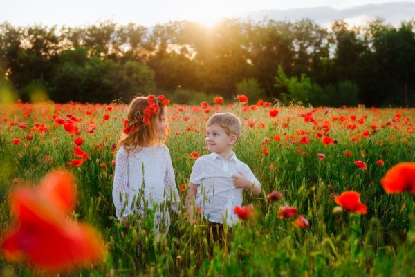 Мальчик и девочка в поле