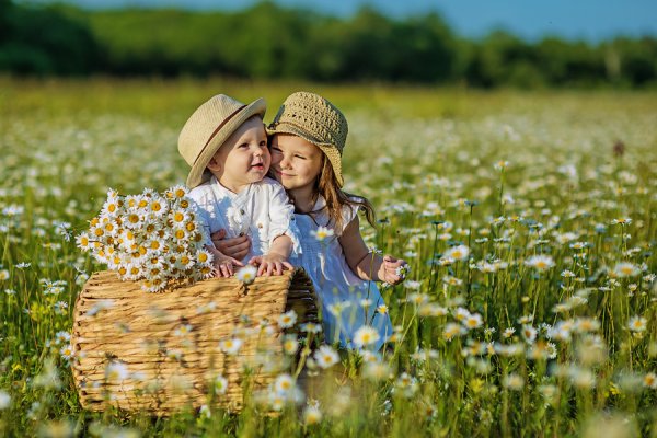 Дети в ромашковом поле