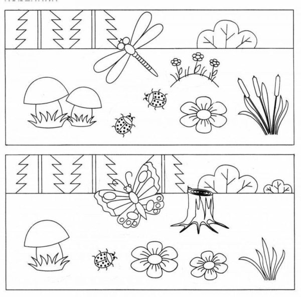 Растительный мир для дошкольников