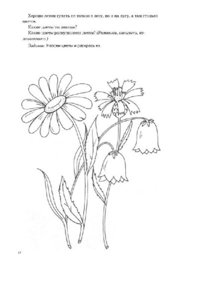 Материал для родительского уголка в старшей группе