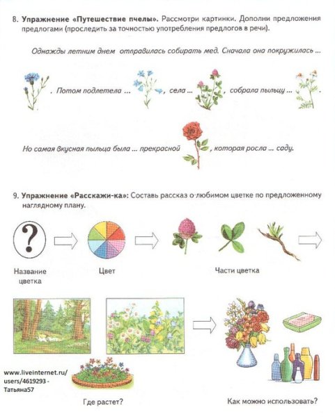 Лексическая тема овощи огород