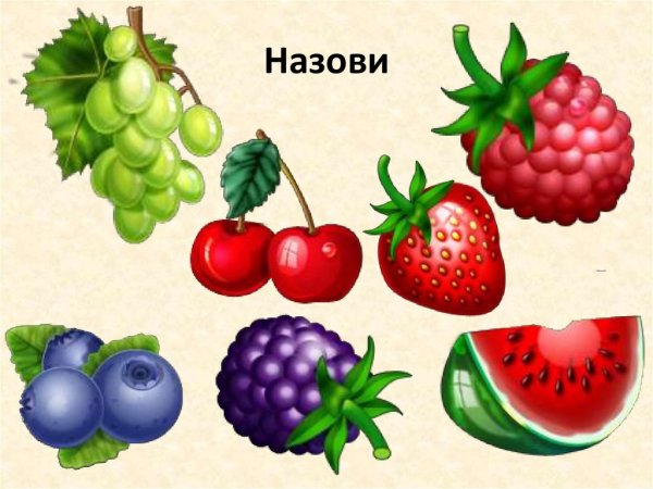 Ягоды для детского сада