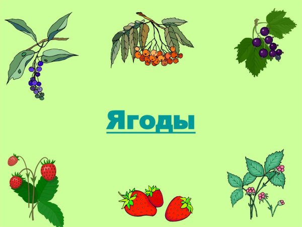 Тема недели ягоды