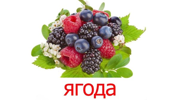 Ягоды для детей