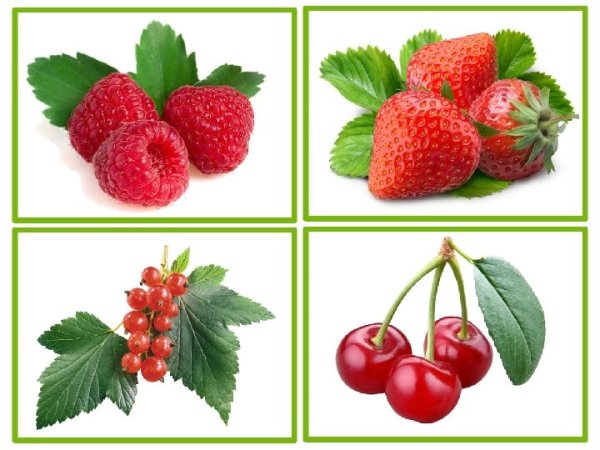 Раскраска "ягоды"