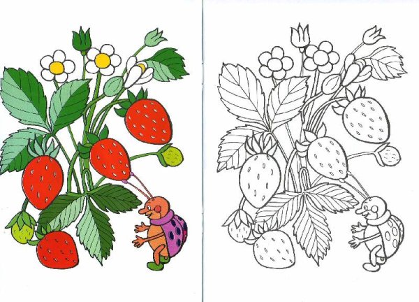 Дети собирают грибы