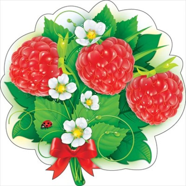 Земляника на прозрачном фоне