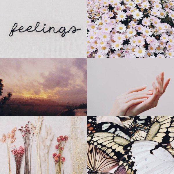 Эстетика жизни