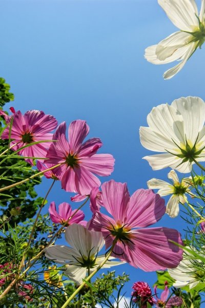 Летняя дорога